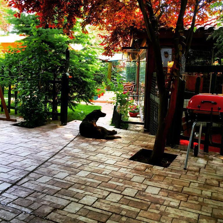Safir Konak Safranbolu Exteriér fotografie